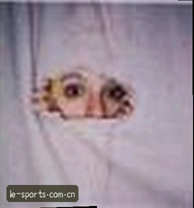 赵总